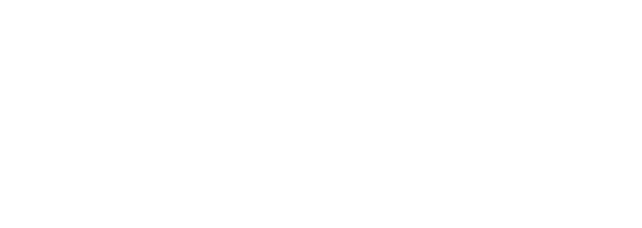 Stelloy Technocast Pvt. Ltd
